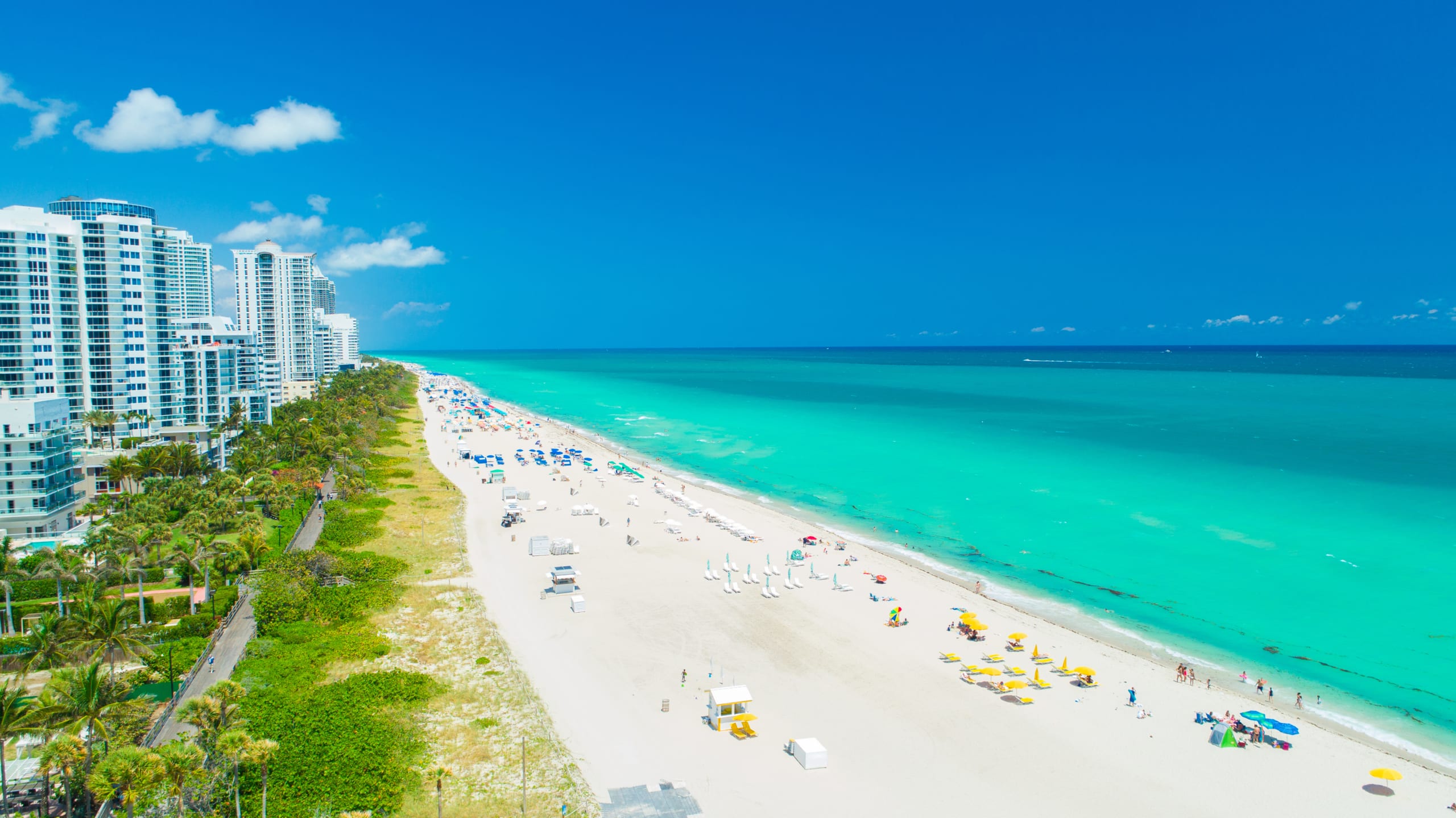 Florida Auto Insurance State Guide