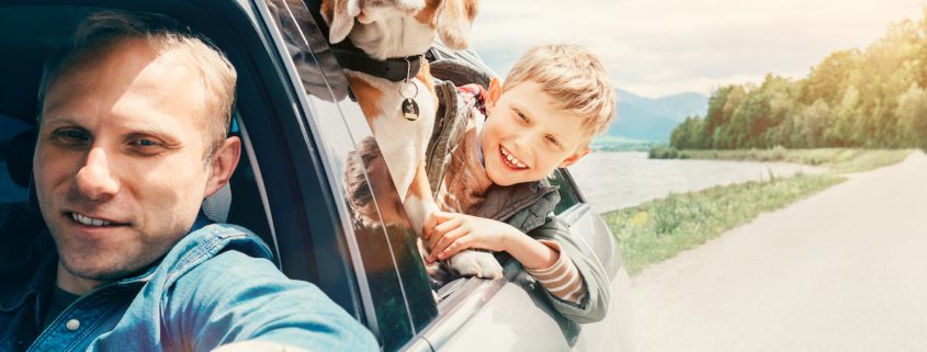 plpd insurance explained